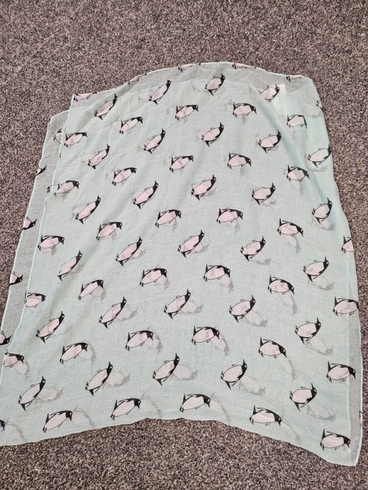 Xander Kostroma Penguin Scarf - Mint