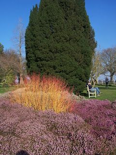nymans gardens