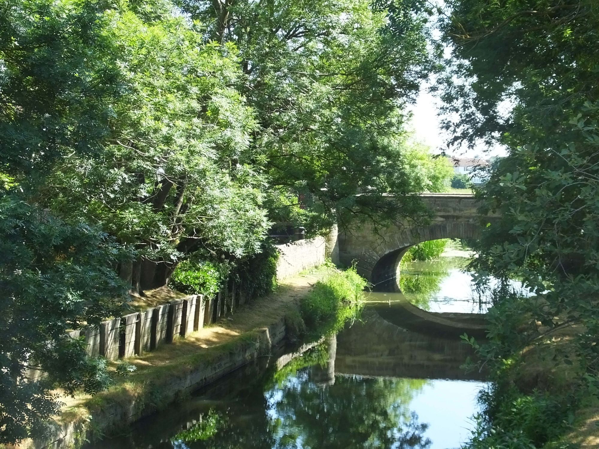 bridge and stream
