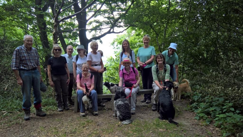 walking group