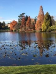 autumnal lake