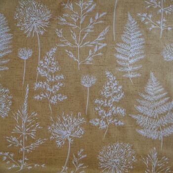 Chervil by iLiv
