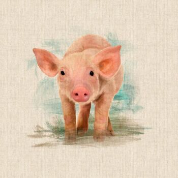 Pig Panel Fabric