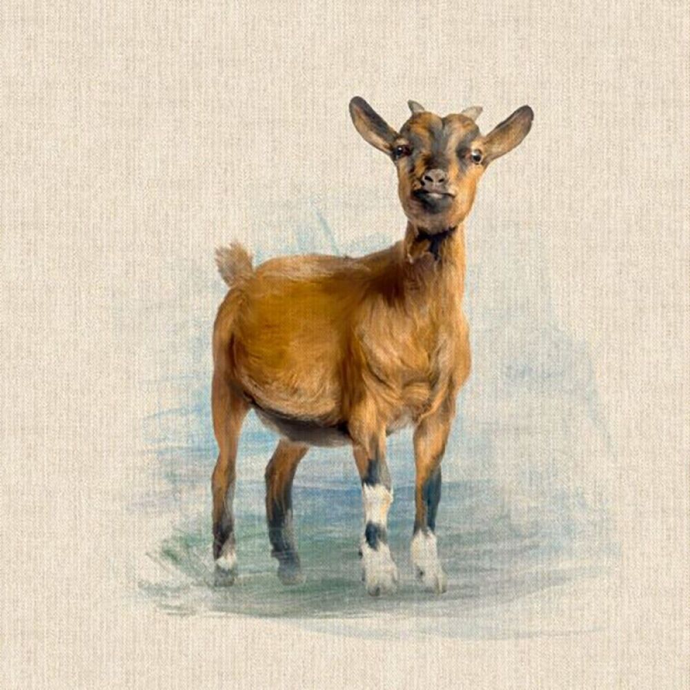Goat Panel Fabric