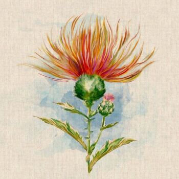 Highland Thistle Panel Fabric