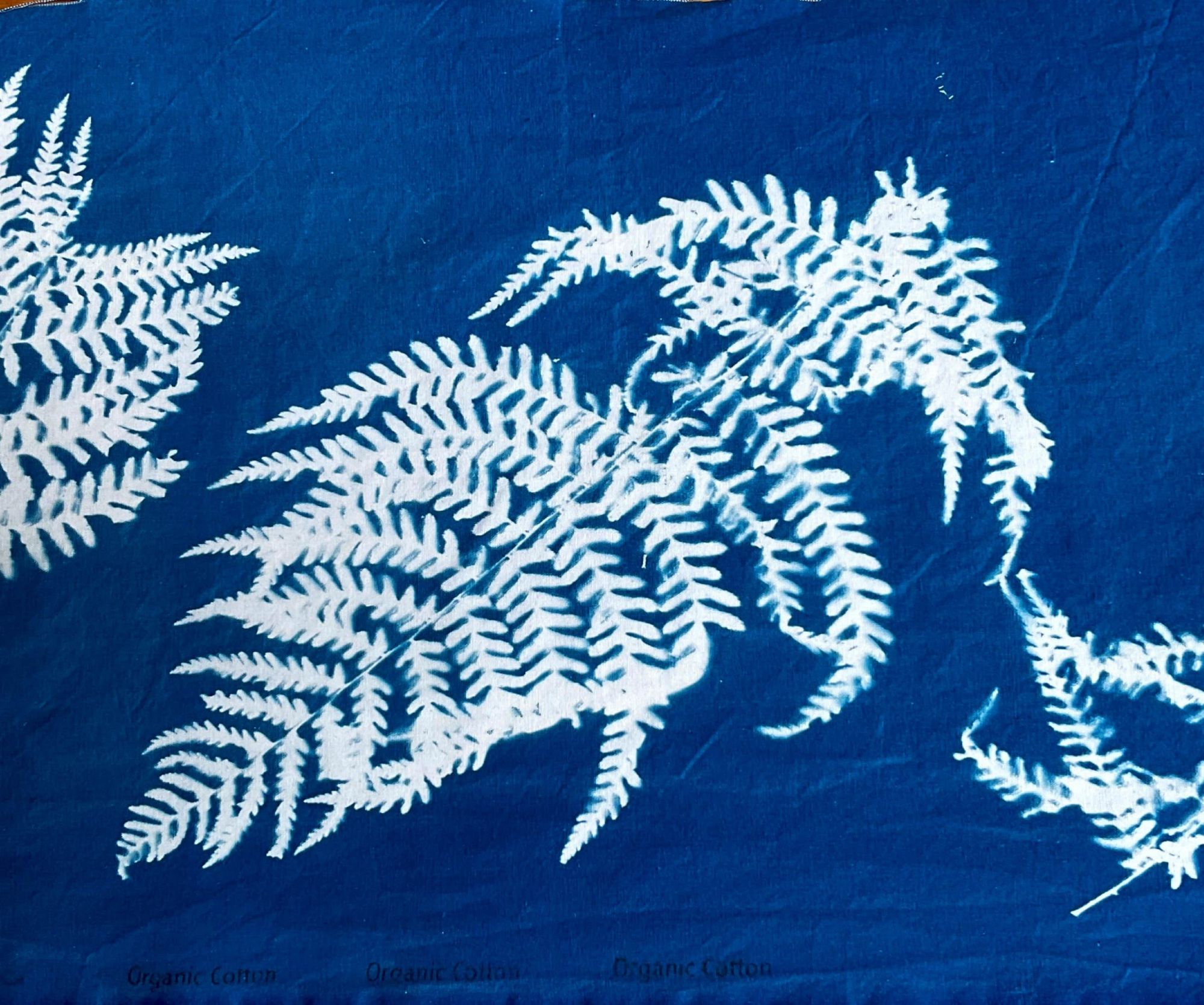 Fern print against a blue background