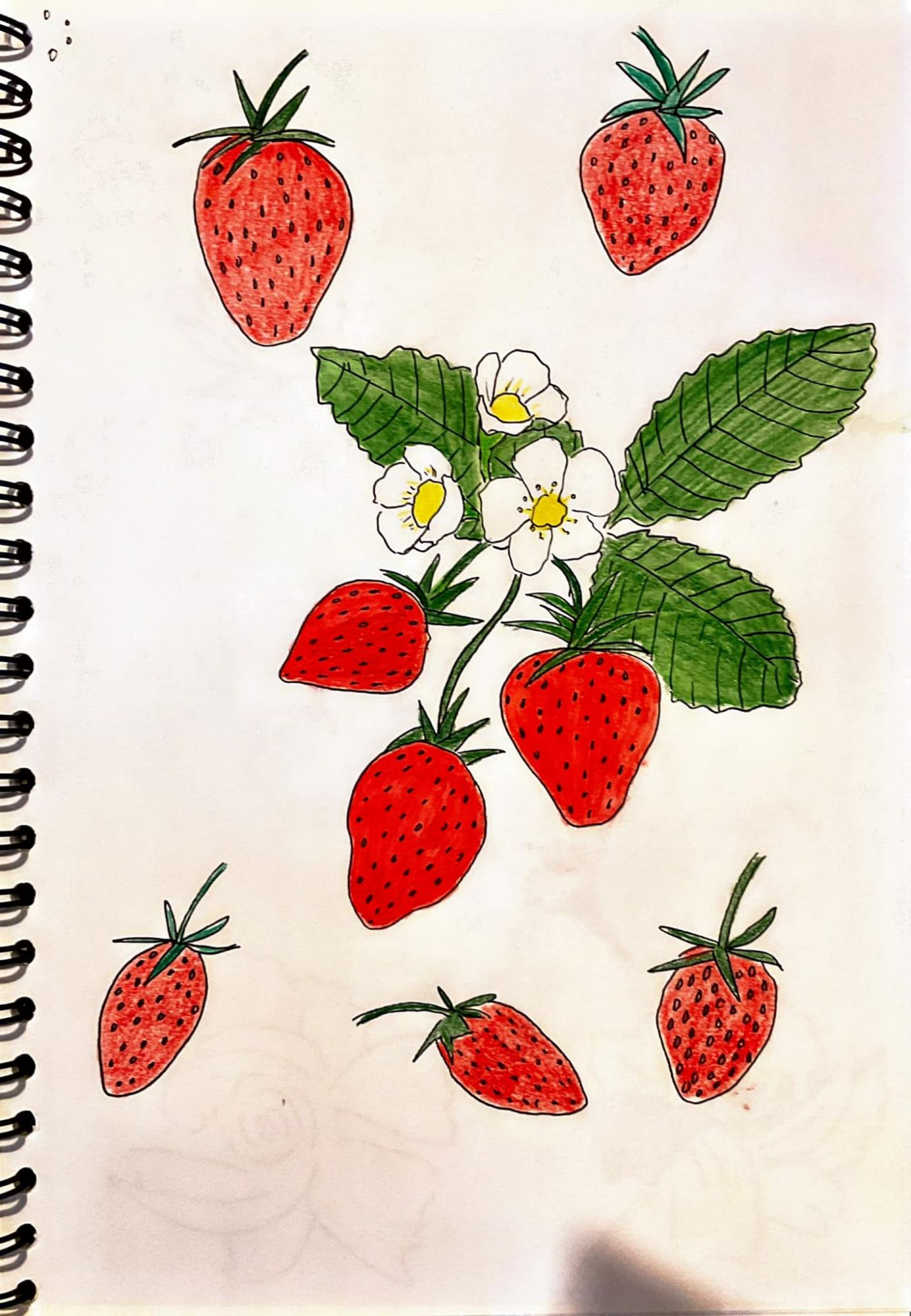 A handrawn image of strawberries and strawberry flowers against green leaves