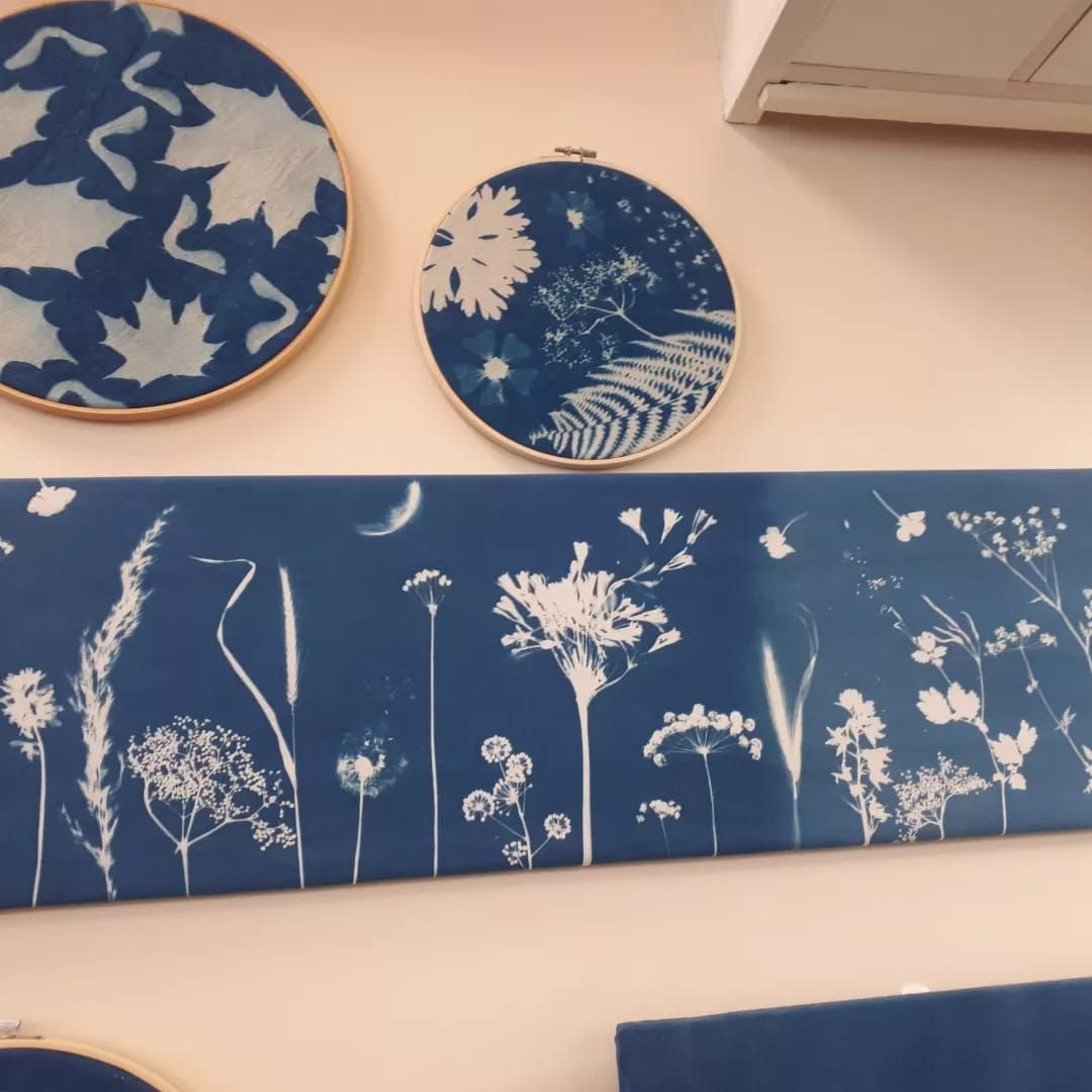 a display of three cyanotypes pieces , one rectangle and two in tapestry round hoops. Plants and flowers are sunprinted onto the fabric