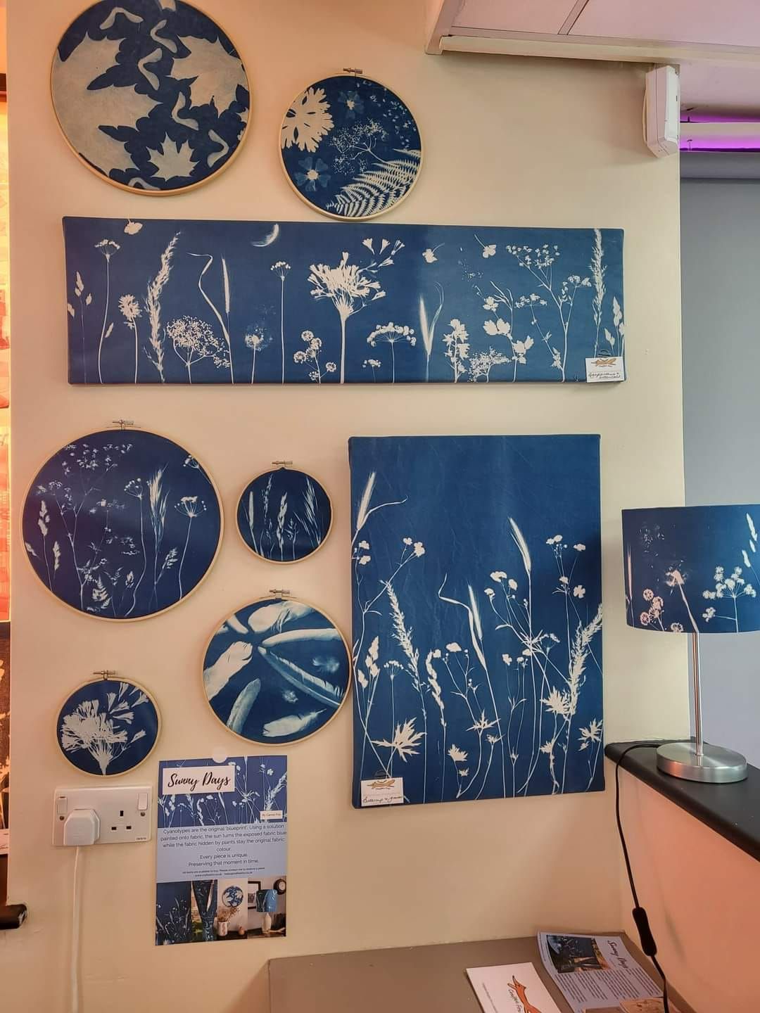 A wall is covered with cyanotype prints showing plants sunprinted on the blue fabric