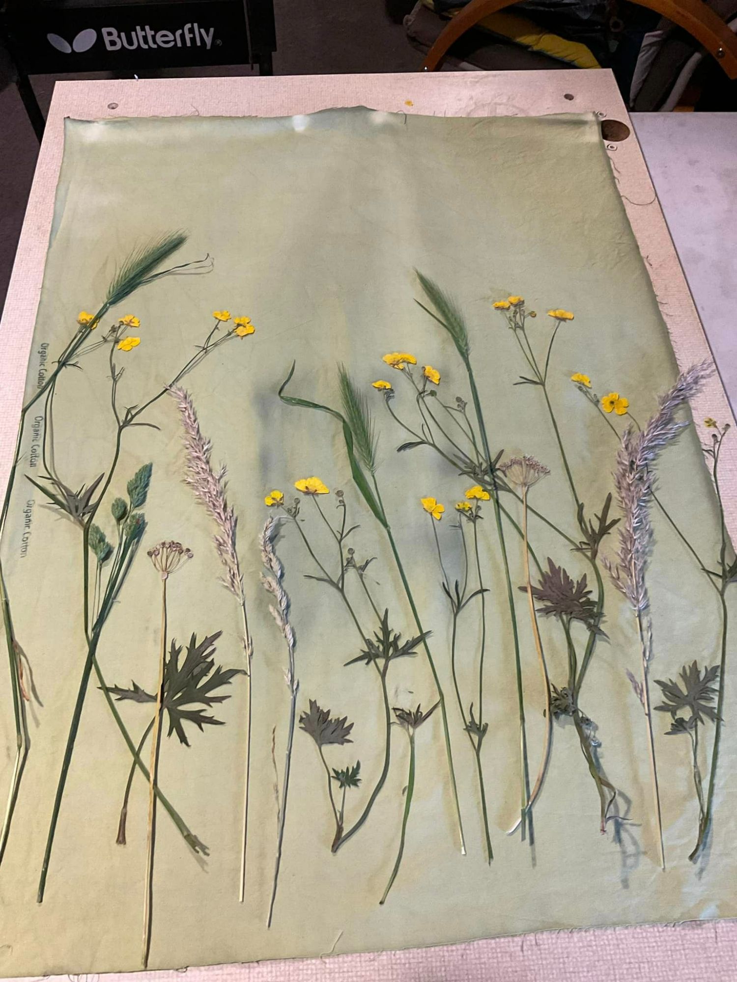 Buttercups and grasses lay against fabric that is treated with cyanotype