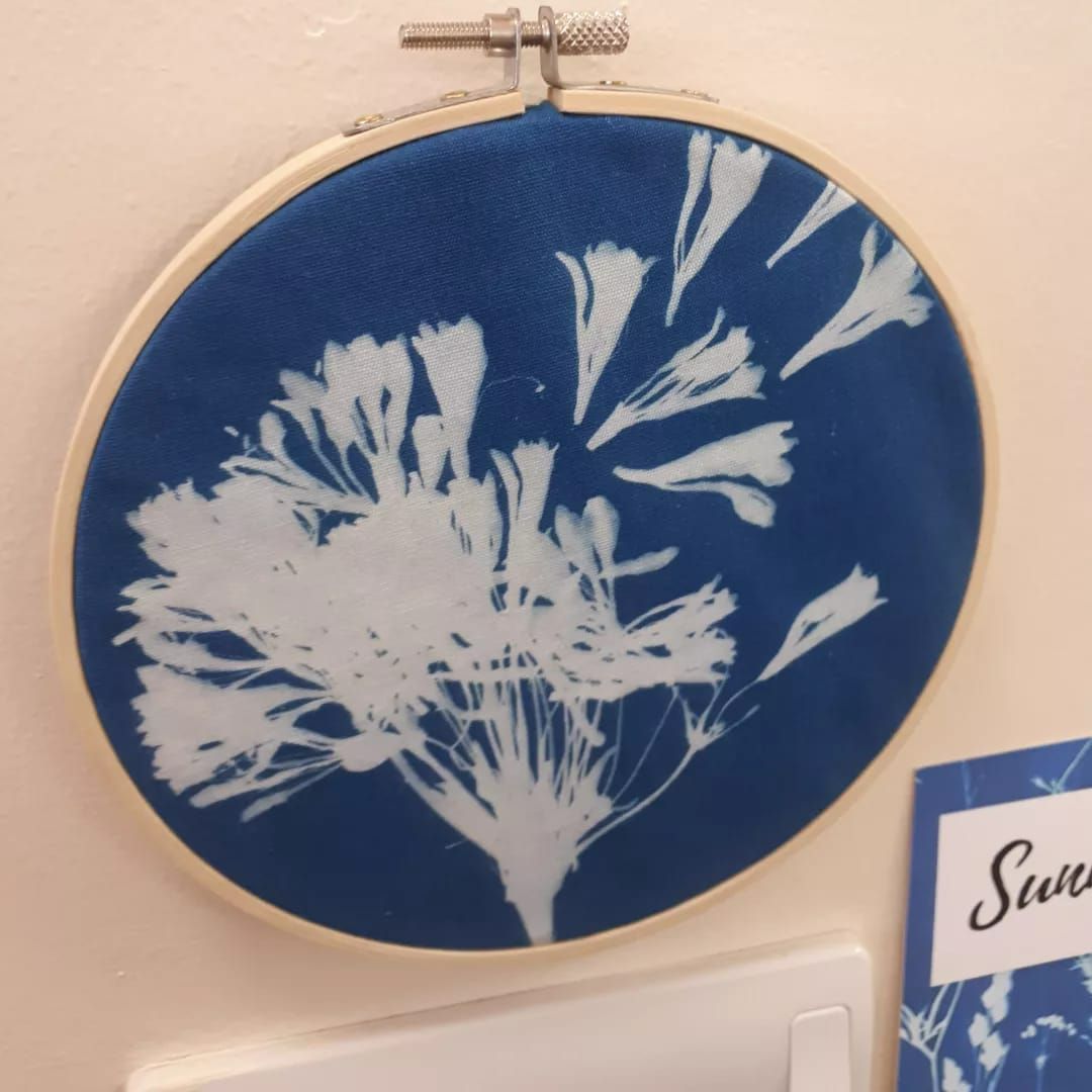 A sun printed image of a Agapanthus made by cyanotype in a wooden tapestsery frame