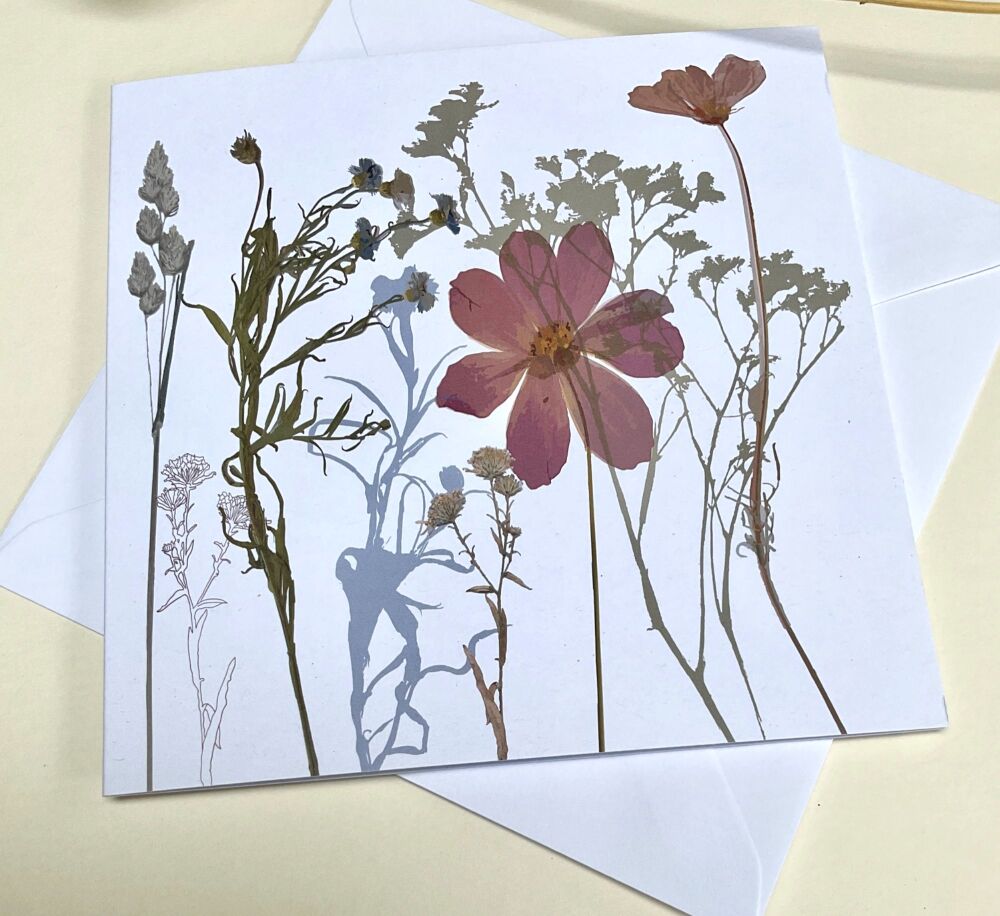 Cosmos & cornflower greetings card