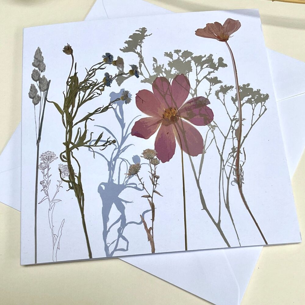 Cosmos & cornflower greetings card