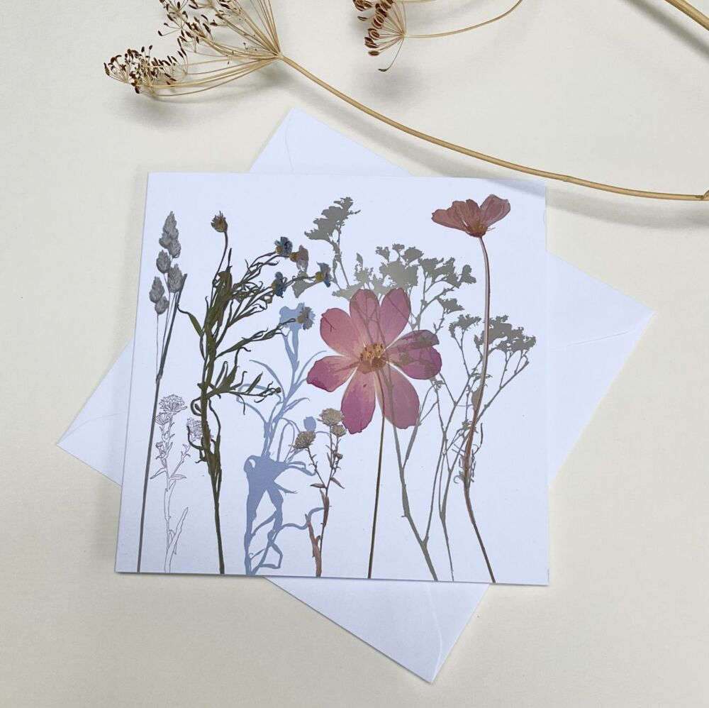 Cosmos & cornflower greetings card