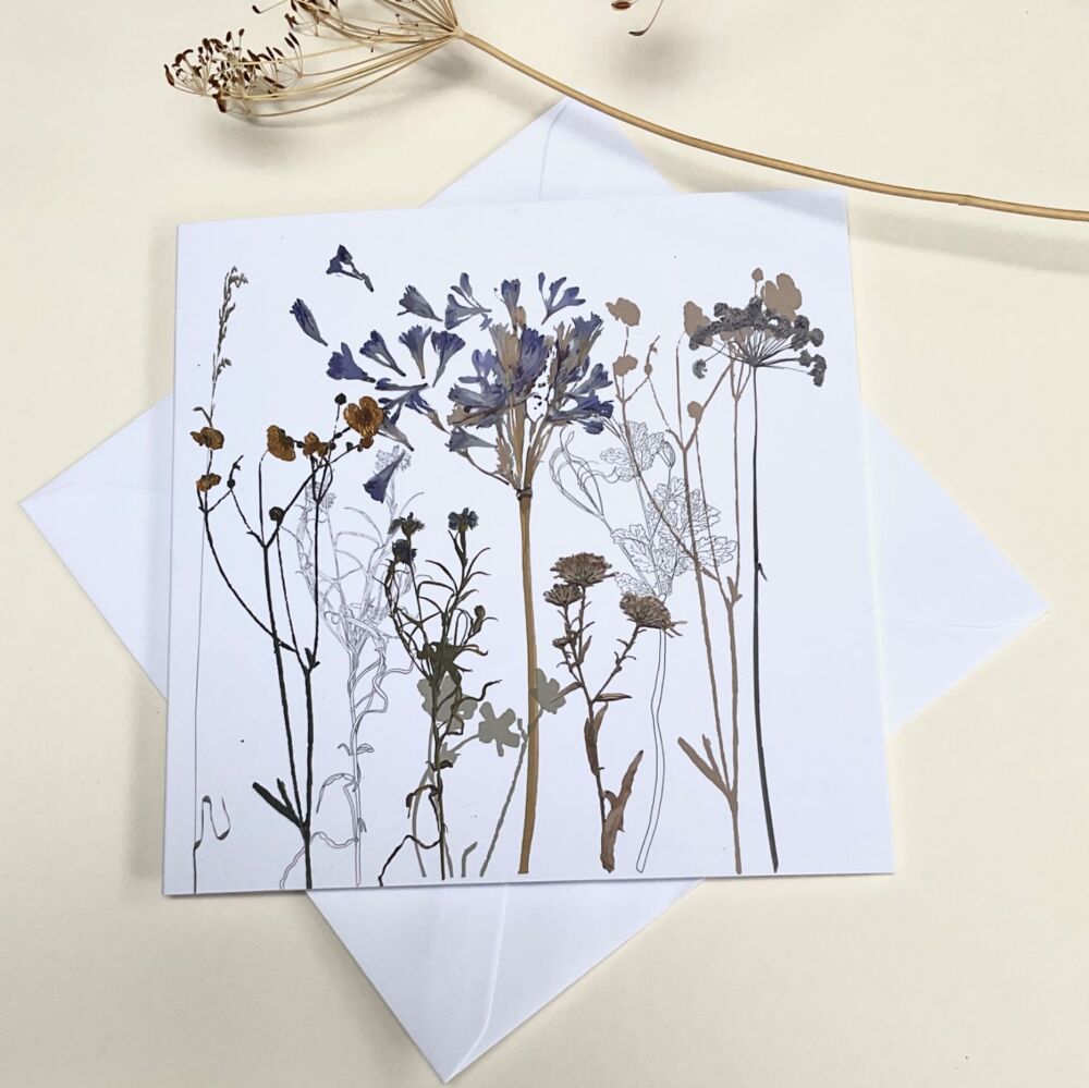 Agapanthus greeting card