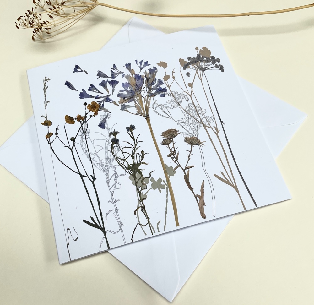 Agapanthus greeting card