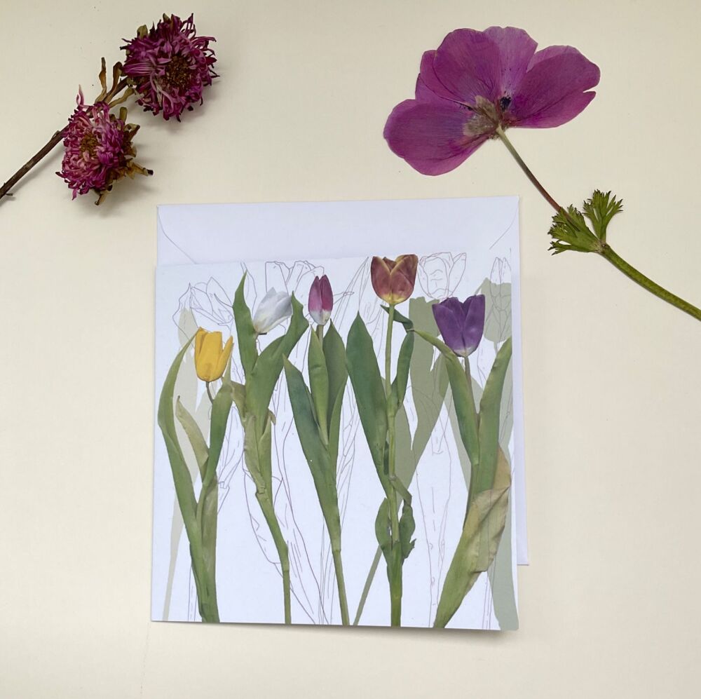 Tulips greetings card