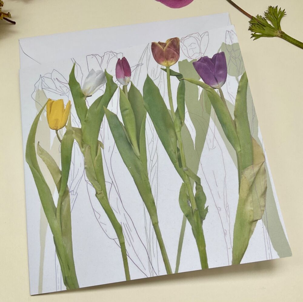 Tulips greetings card