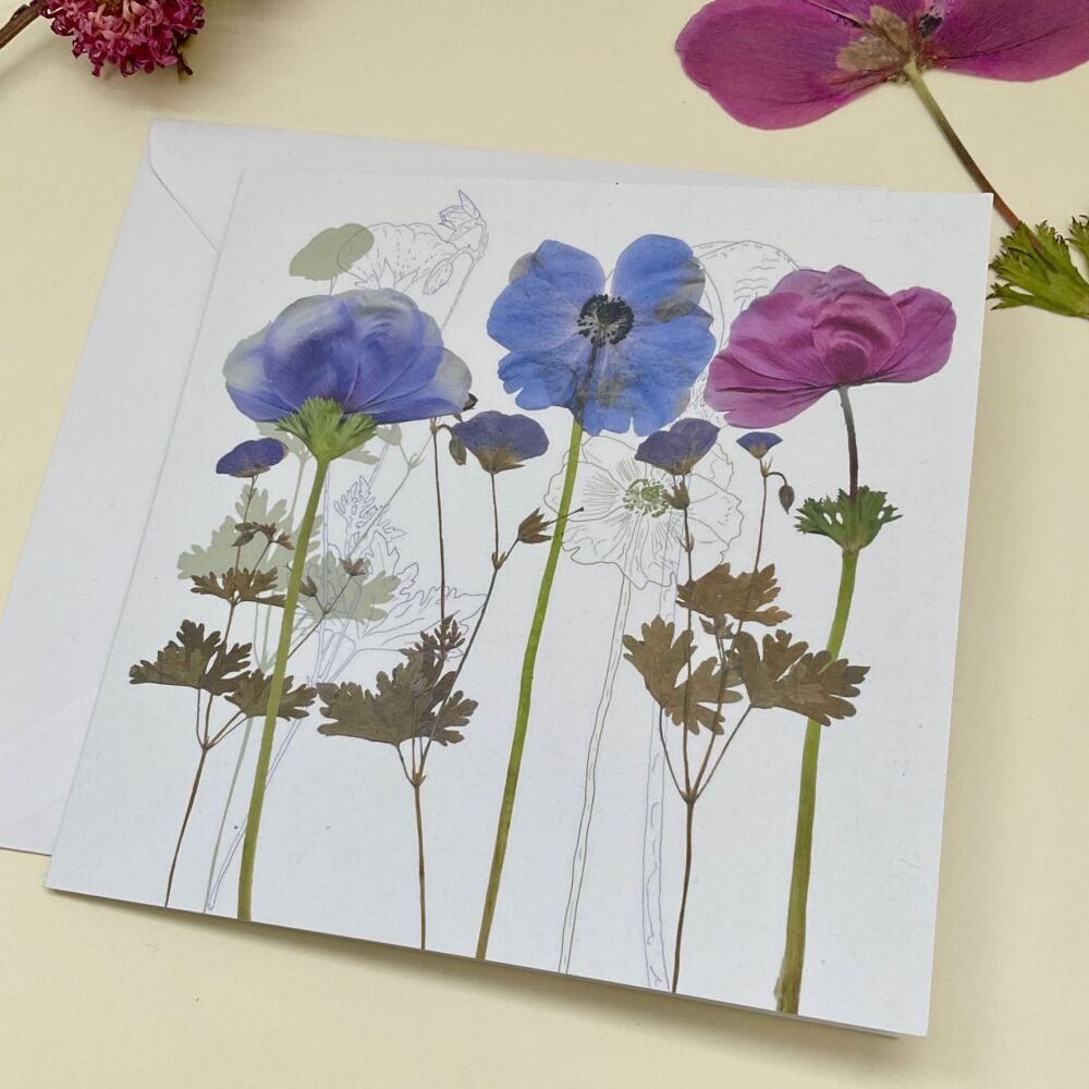 Anenomes greetings card