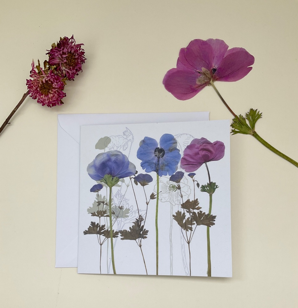 Anenomes greetings card
