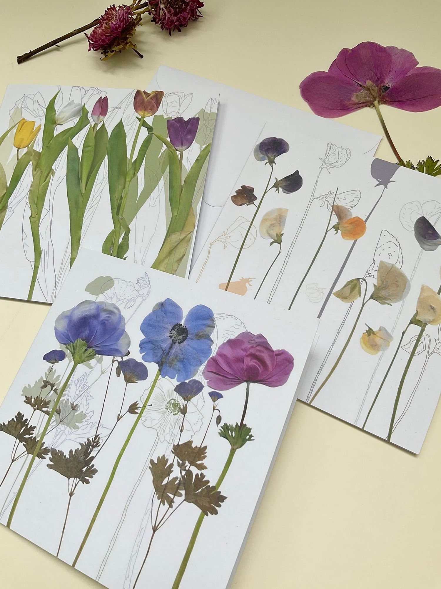 image of cards with anenomes, sweet peas and tulips on