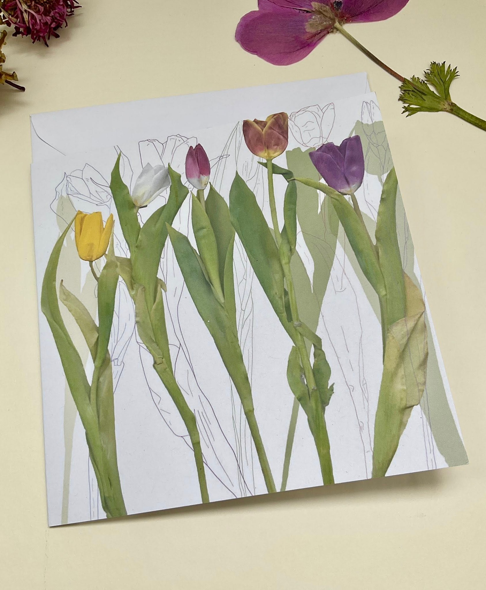Row of colourful tulips against line-drawings and silhouettes of tulips