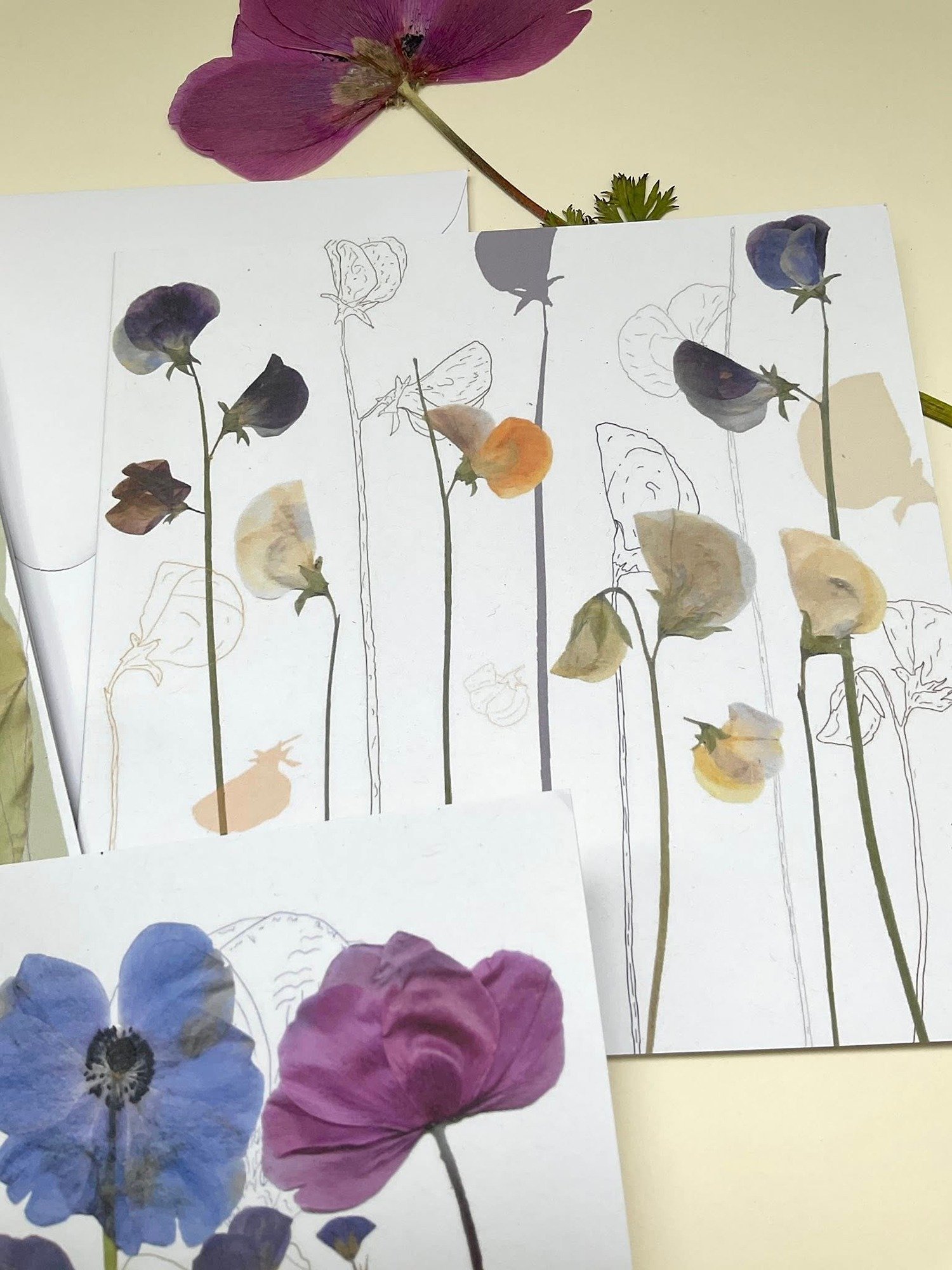 Cards featuring sweet peas