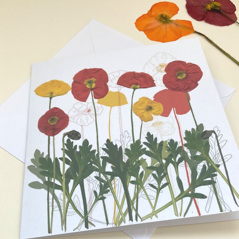 Poppy greetings card