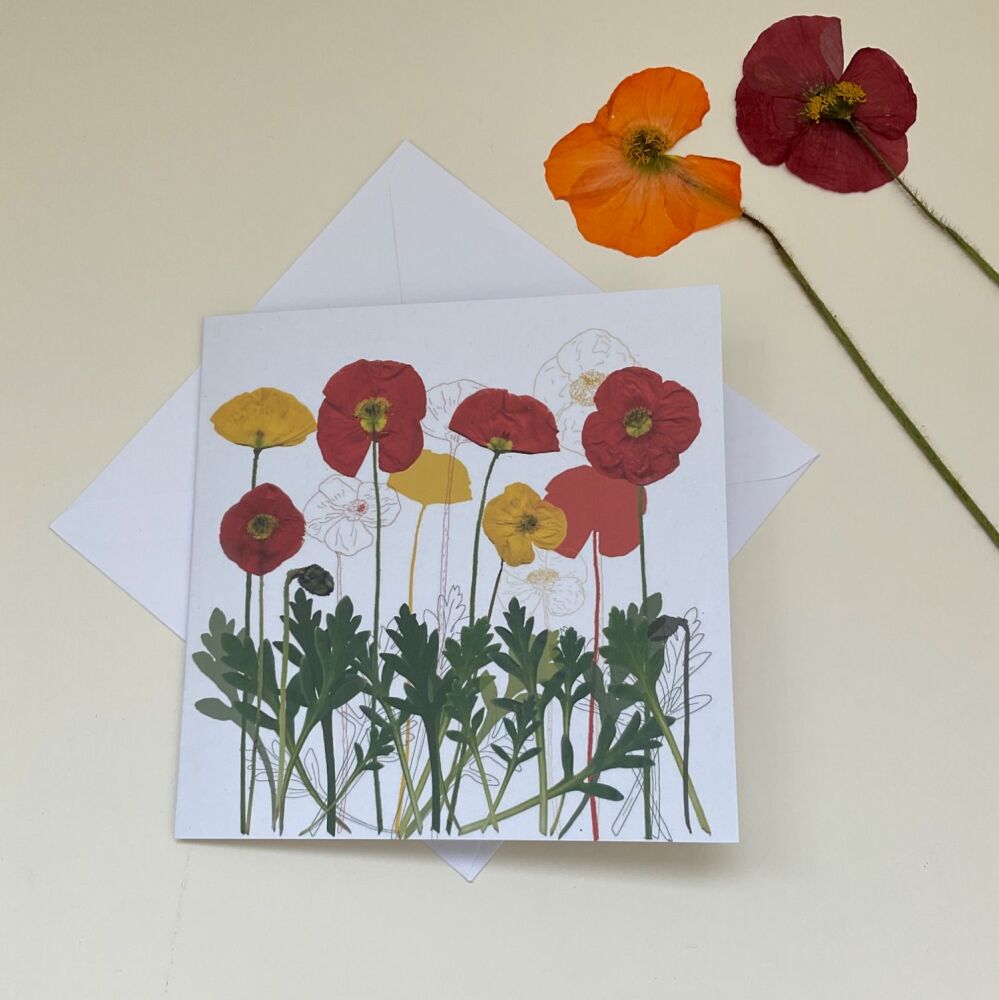 Poppy greetings card