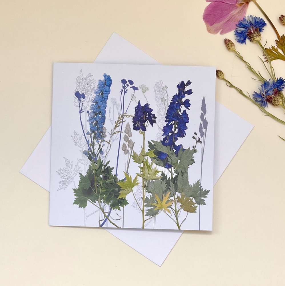 Delphiniums greetings card