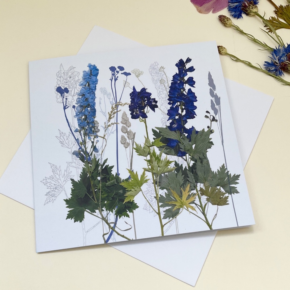 Delphiniums greetings card