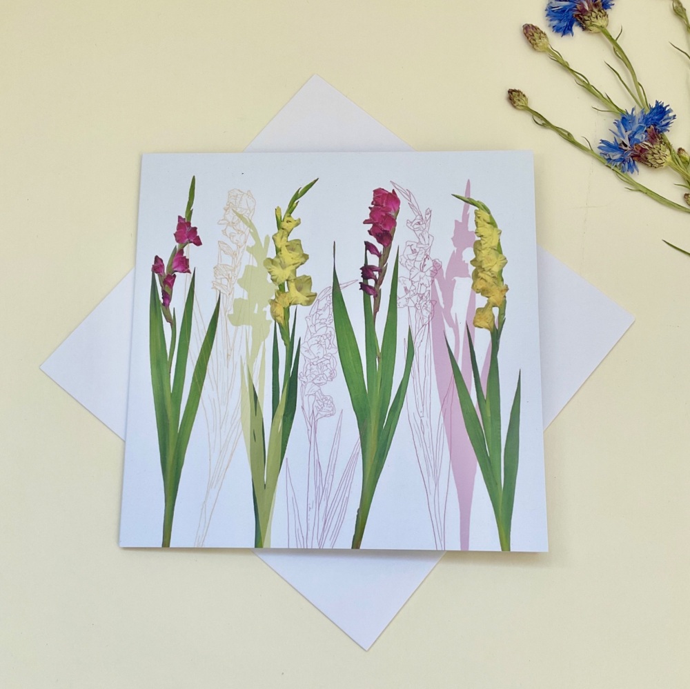 Gladioli greetings card