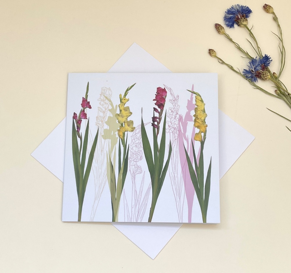 Gladioli greetings card