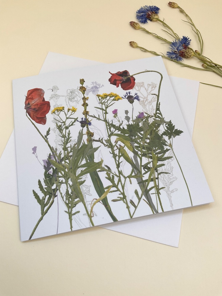 Station Garden greetings card