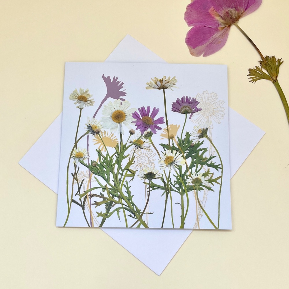 Daisies greetings card