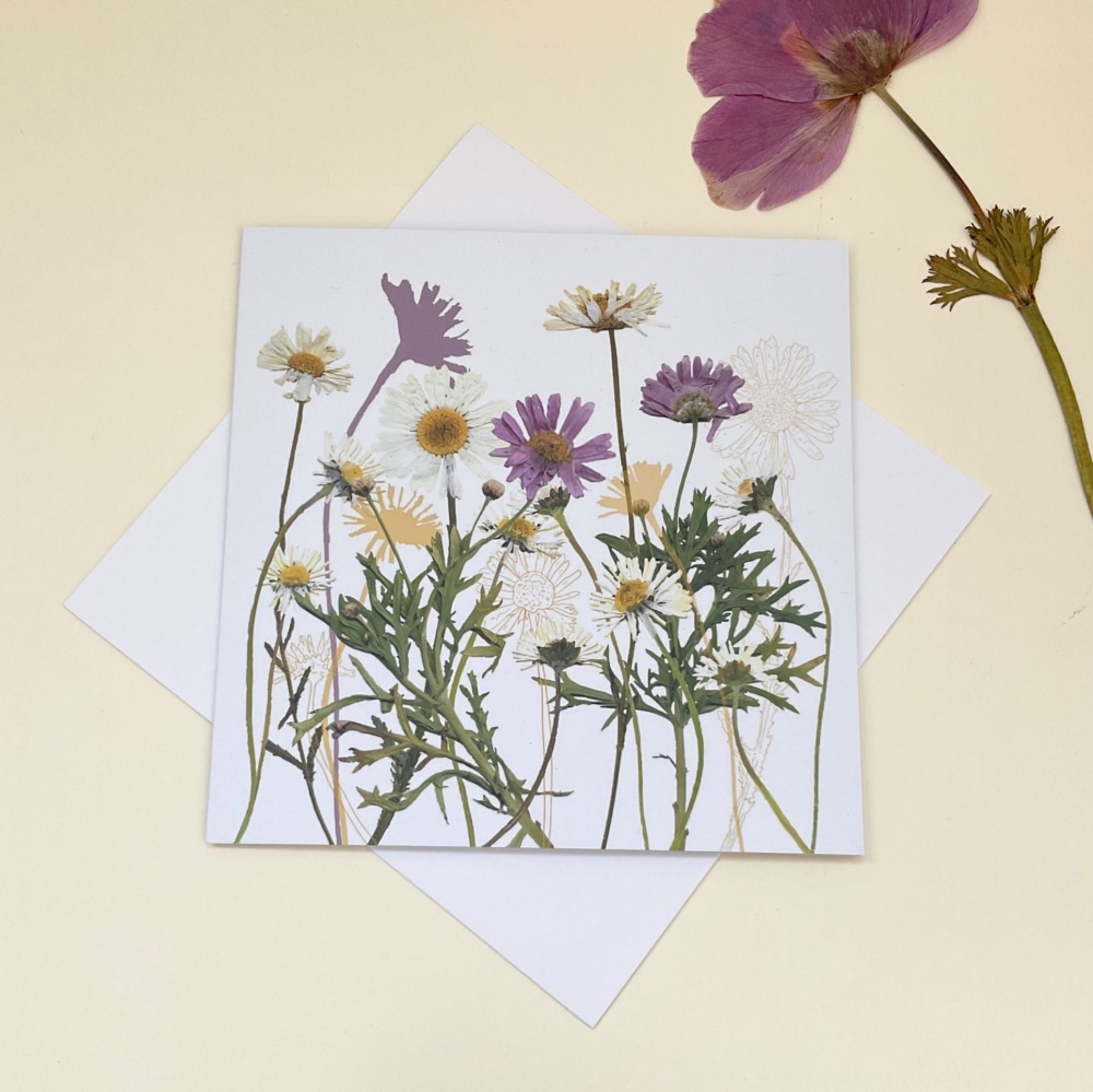 Daisies greetings card