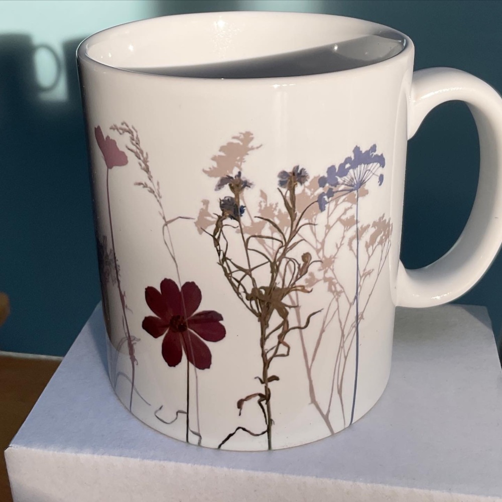 Cosmos mug