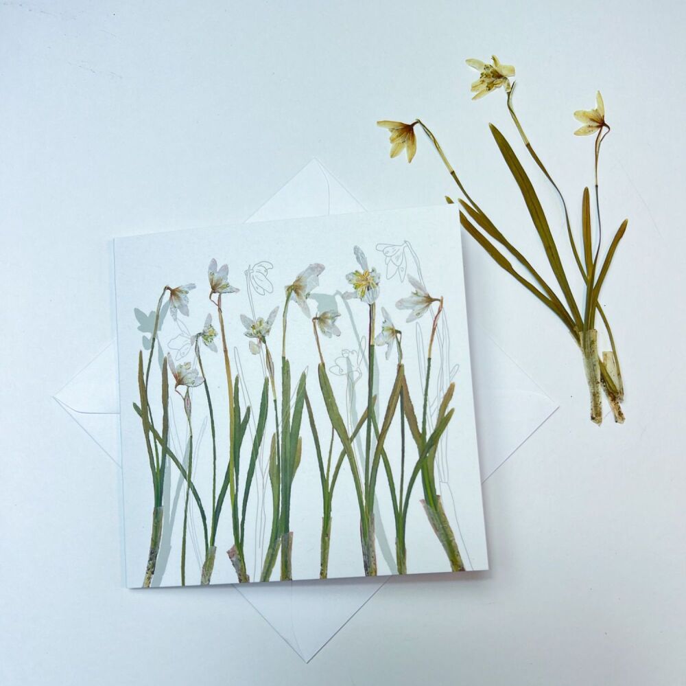 Snowdrop greeting card