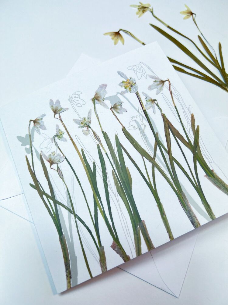 Snowdrop greeting card