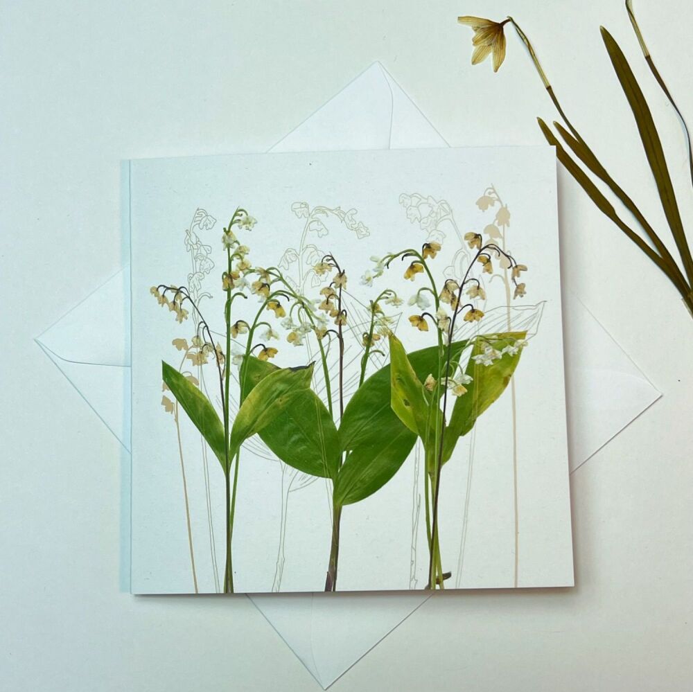 Lily of the Valley greeting card