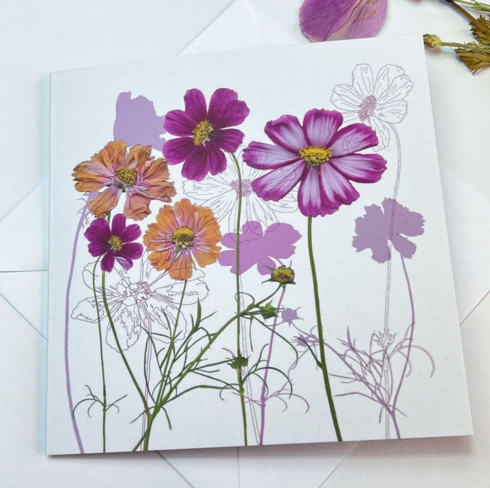 Cosmos floral greeting card