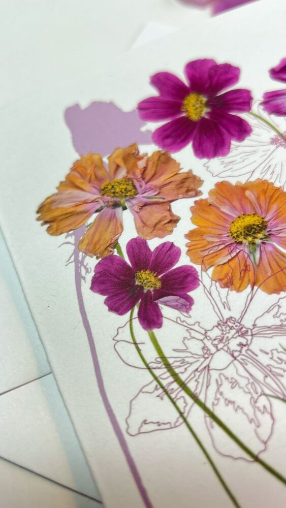 Cosmos floral greeting card