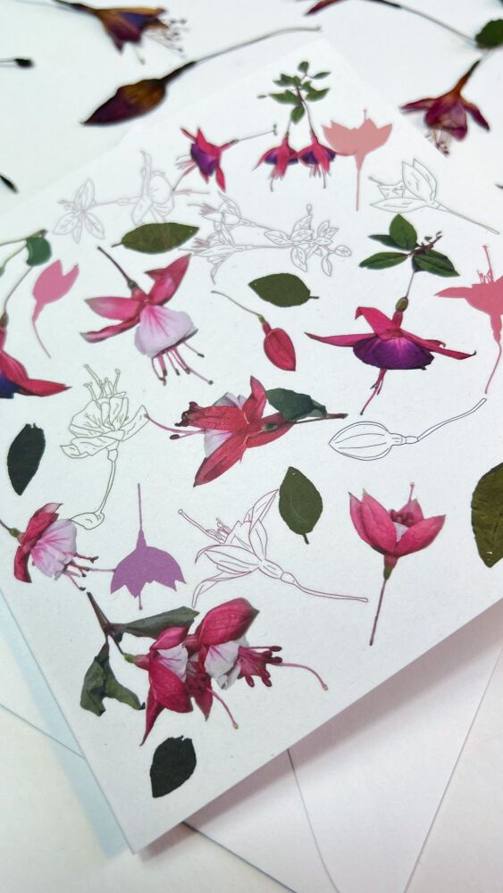 Fuchsia brights greeting card