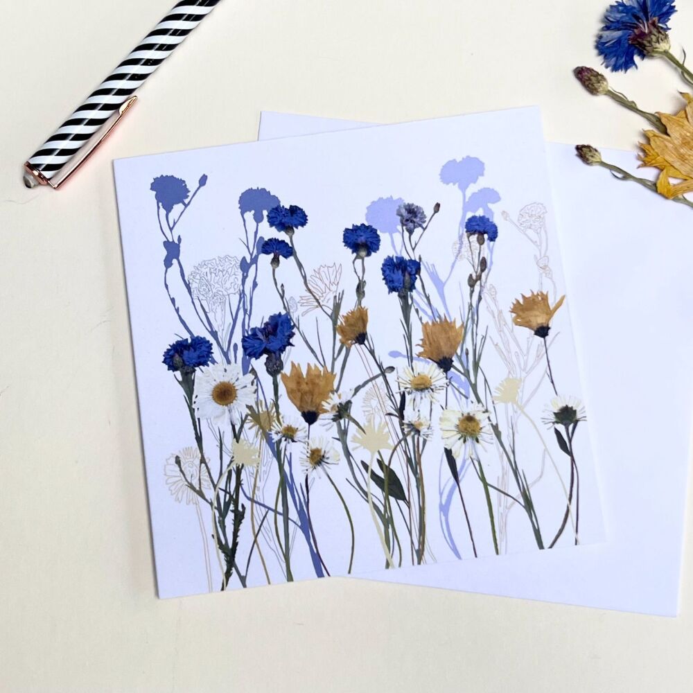 Cornflower and daisies greetings card
