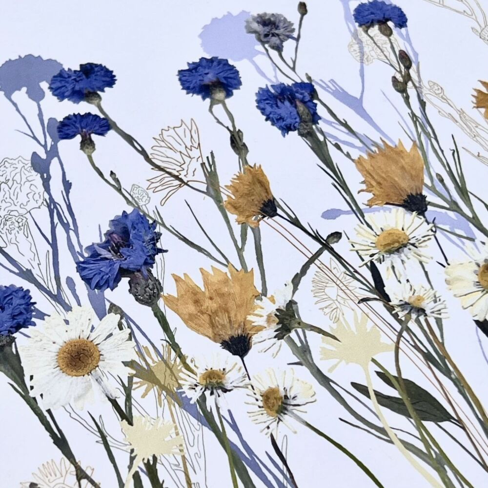Cornflower and daisies greetings card