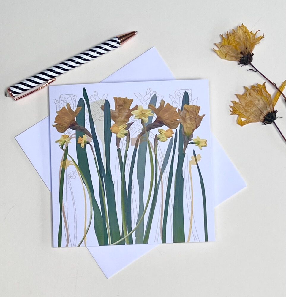 Daffodils greetings card