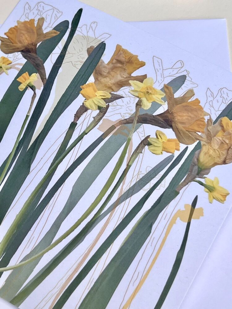 Daffodils greetings card