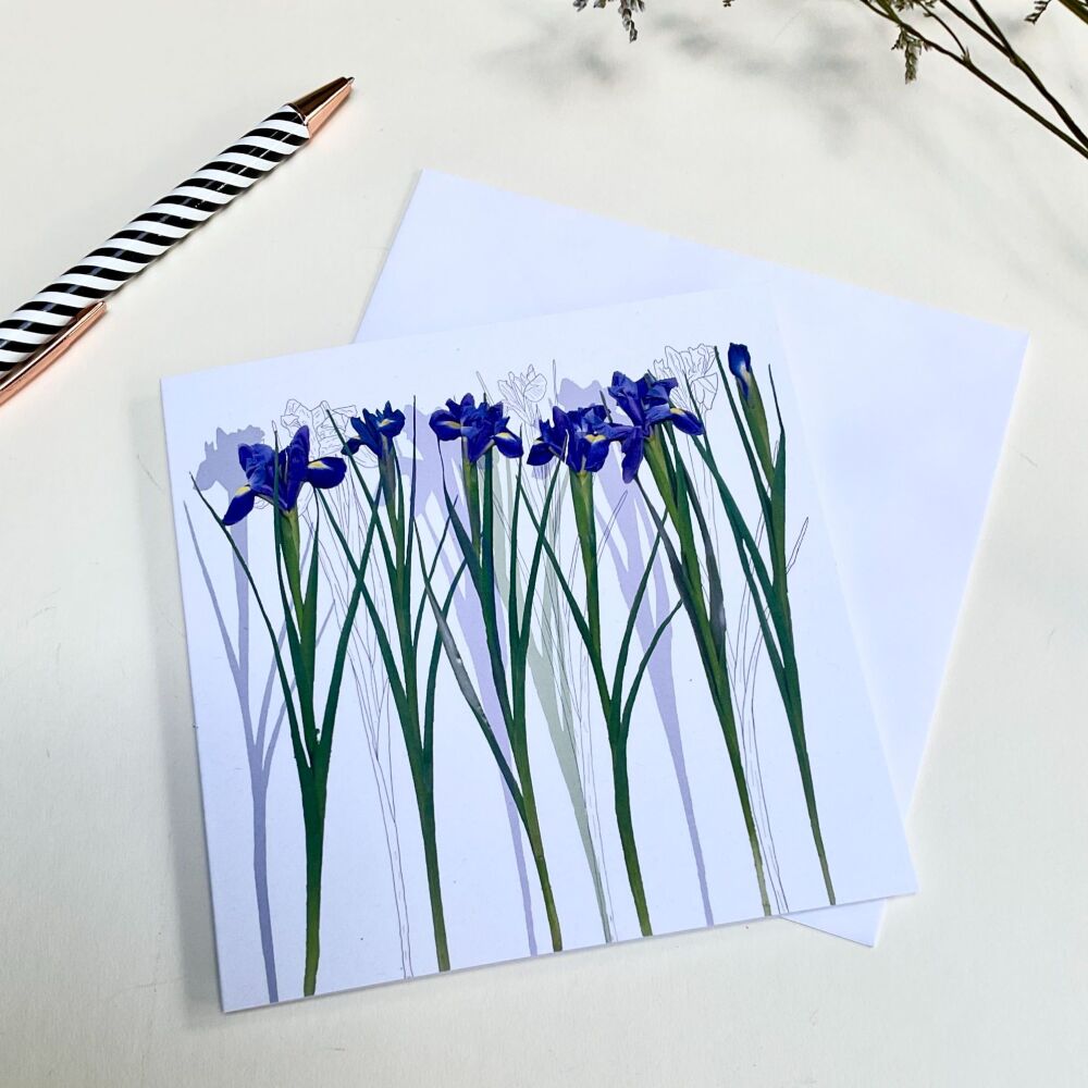 Iris greetings card
