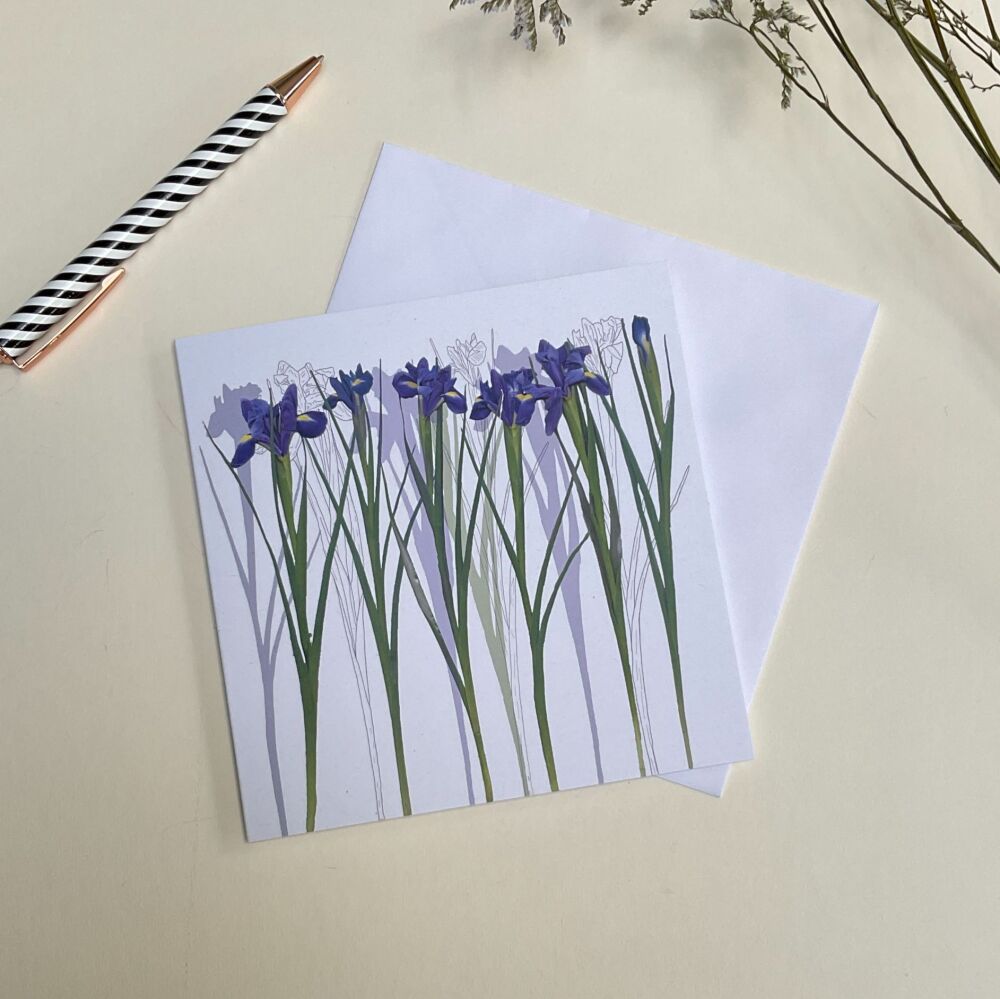 Iris greetings card