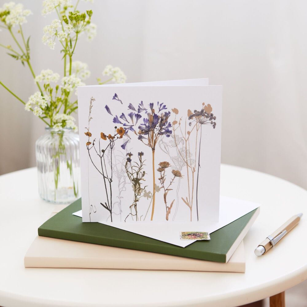 Agapanthus greeting card